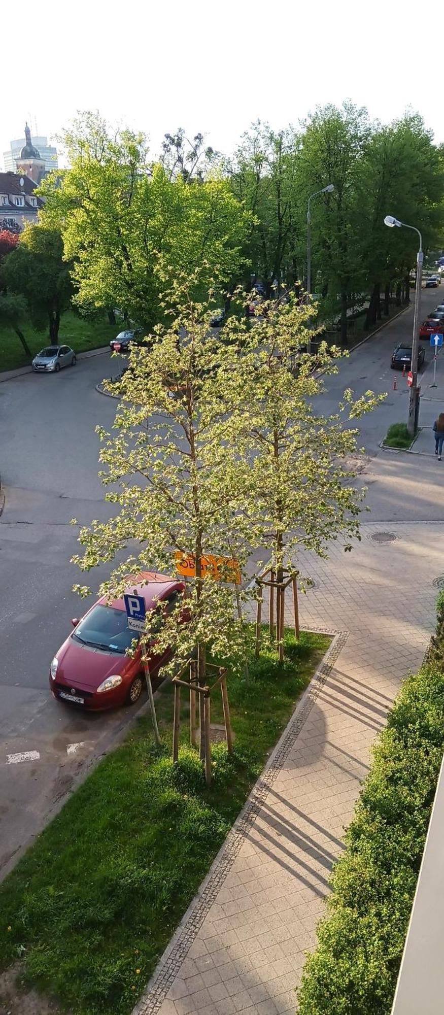 Planet Gdansk Apartments Mercure Old Nova Екстер'єр фото
